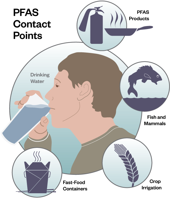PFAS contact points web graphic