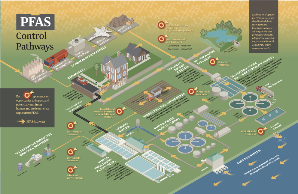 PFAS control pathways web graphic