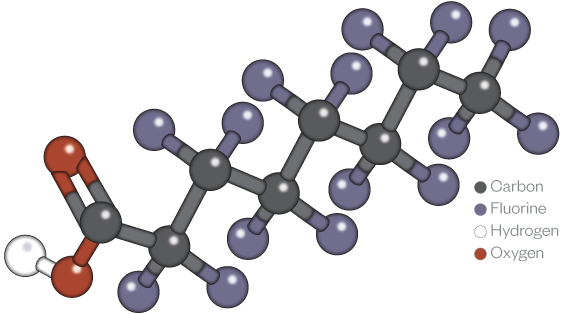 PFAS molecule web graphic