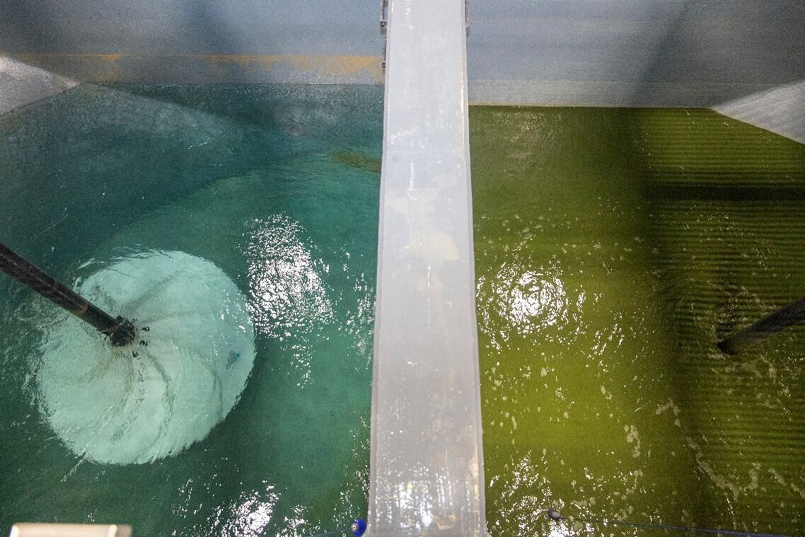 Celina bioreactor