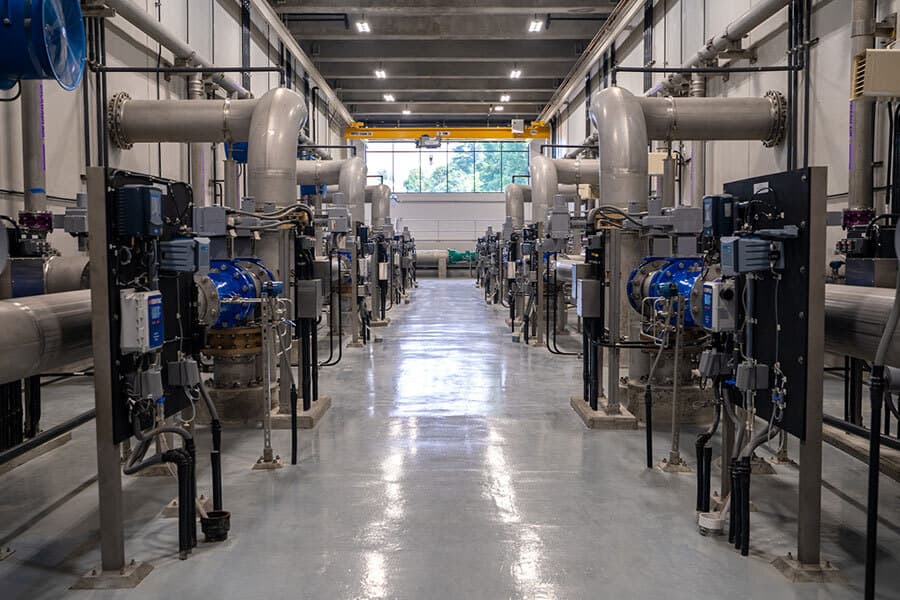 Quarles Plant 2