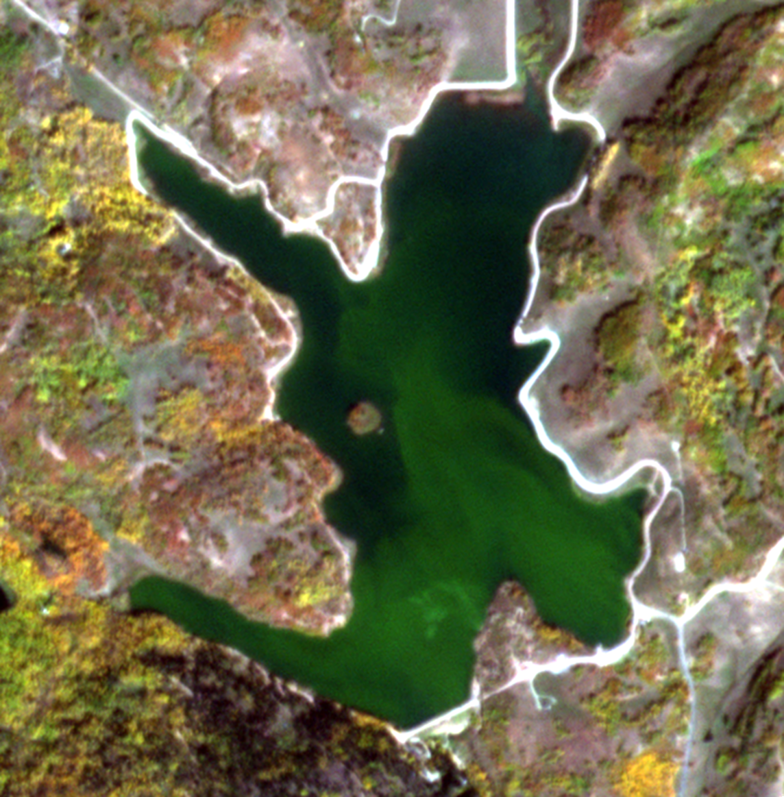 Algal Blooms Satellite Image