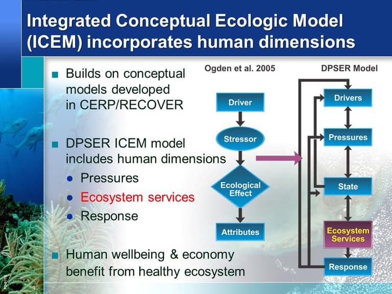Figure 1 MARES project photo