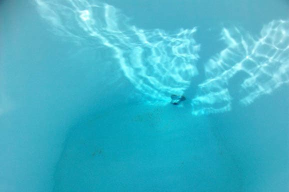 Final effluent