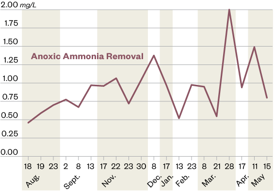 Anoxic Ammonia Removal